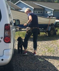 Nosework läger 2026