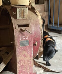 TEM inomhus Klass2 Cup lagerblad 7/6