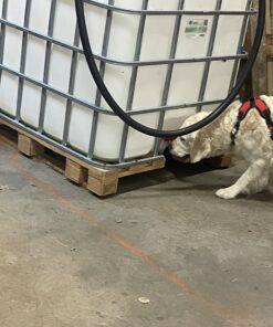 TEM Klass1 Inomhus 29/4