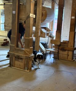 NoseWork Clear Round klass2 TEM inomhus  21/10