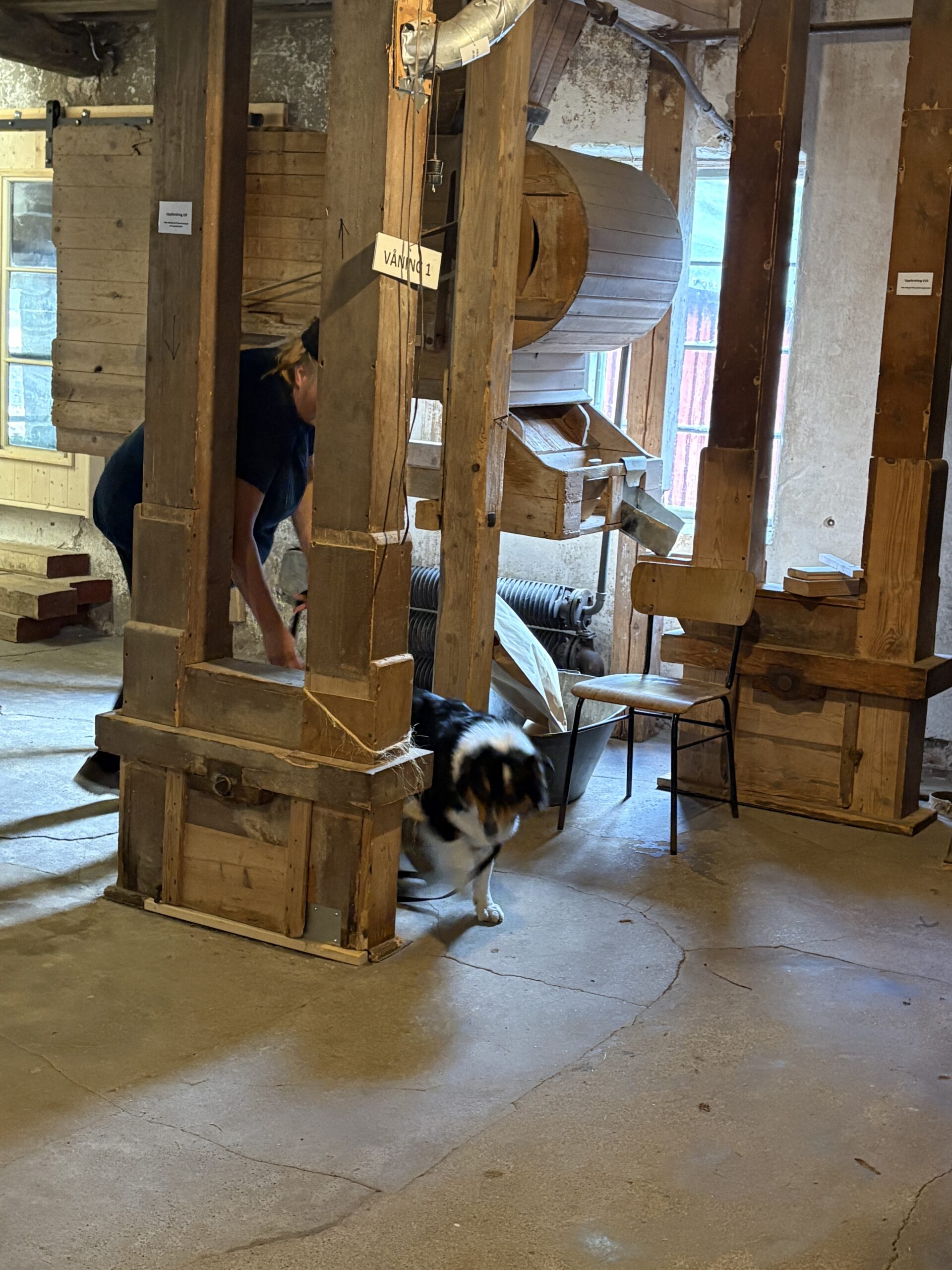 NoseWork Clear Round klass2 TEM inomhus 21/10