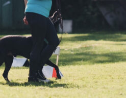 Rallylydnad- nybörjare 27/8 kl 18:15