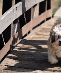 Enstaka tillfällen - Alla sporter